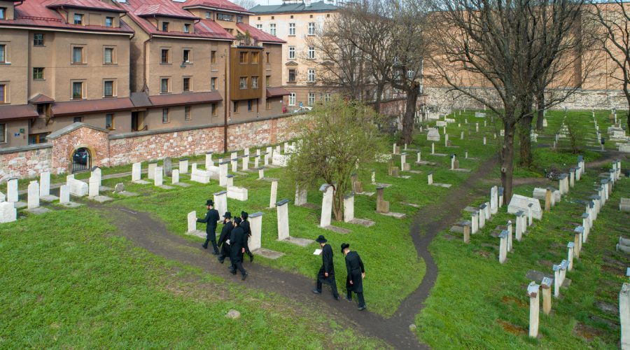 Escursioni e tour a Auschwitz e Birkenau