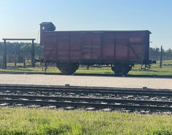 Escursione Ad Auschwitz, Quartiere Ebraico e Fabbrica di Oskar Schindler in 2 Giorni